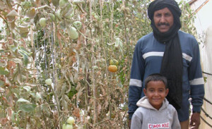 Mohammed & one of his children showing off their tomatoes